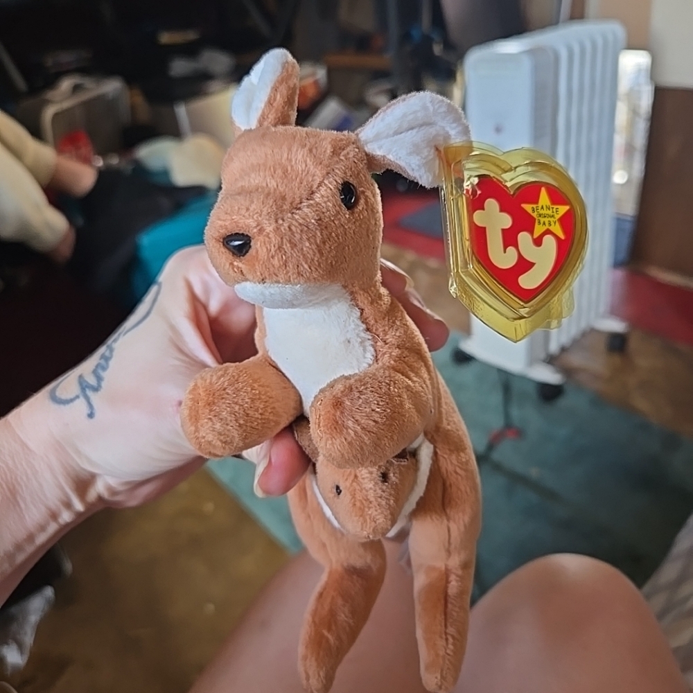 Pouch Kangaroo